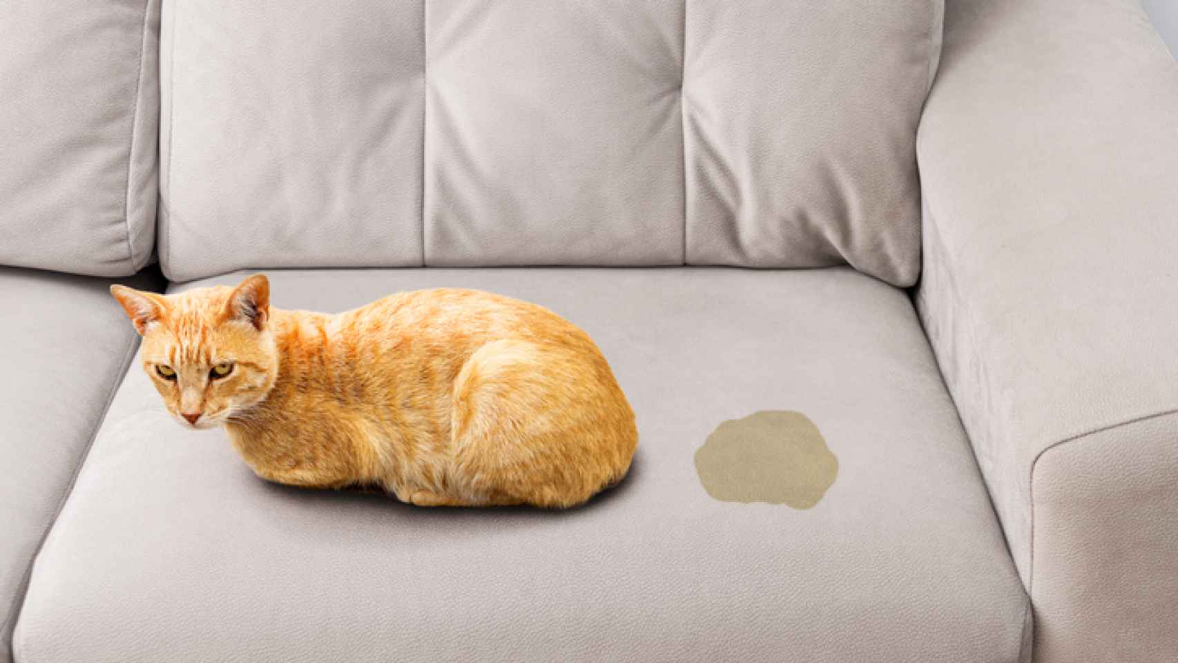 Trucos caseros para limpiar la tapicería de tu sofá.