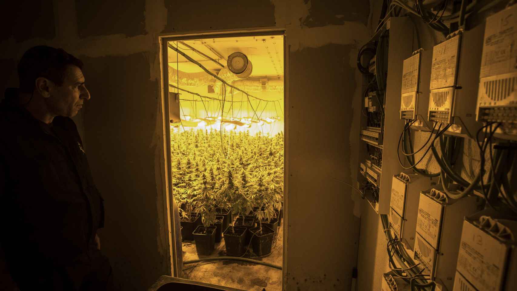 Instalación eléctrica fraudulenta para abastecer una plantación indoor de marihuana.