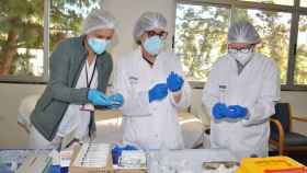 Tres médicas preparando dosis de la vacuna contra la Covid-19.