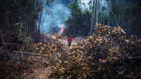 La fiscalización y el control de los delitos medioambientales en la Amazonia brasileña es cada vez más laxa.