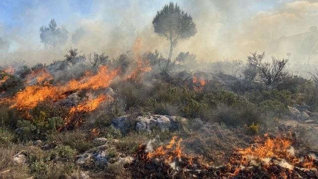 Fuego en un matorral mediterráneo.