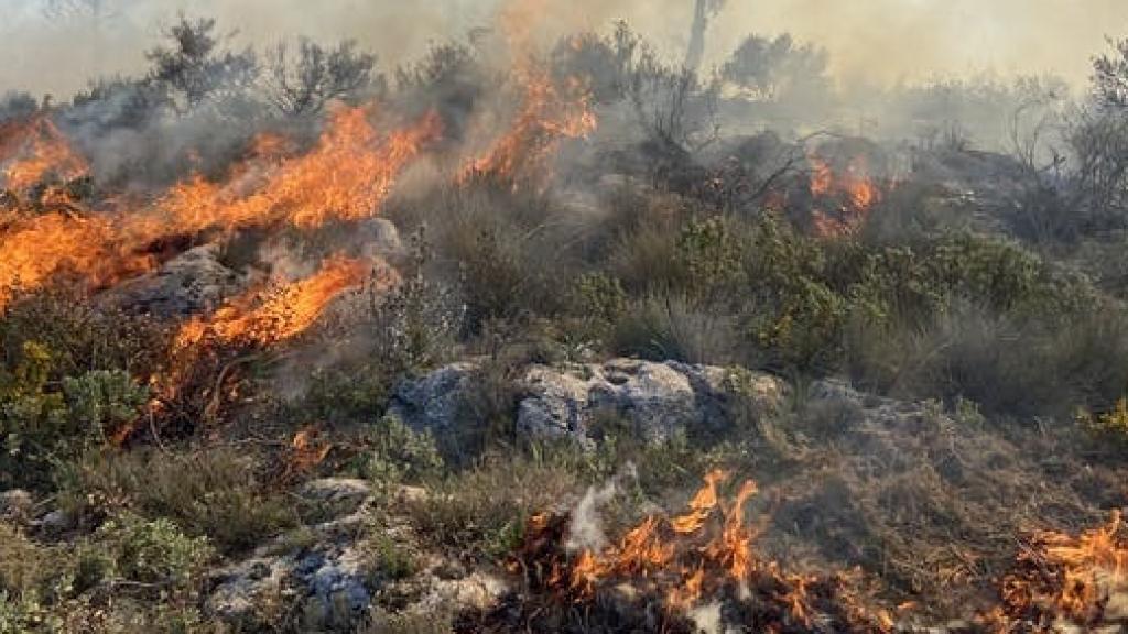 Fuego en un matorral mediterráneo.