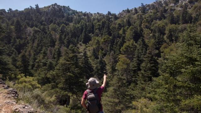 Sierra de las Nieves.