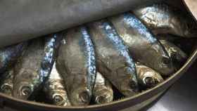 Las sardinas son uno de los pescados más ricos en grasas omega 3.