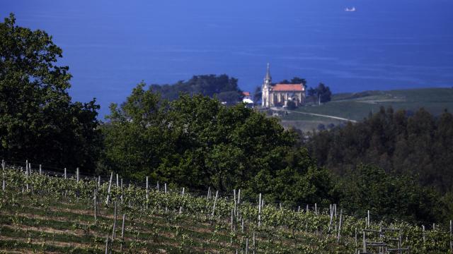 Viñedos heroicos de Bodega Miradorio.