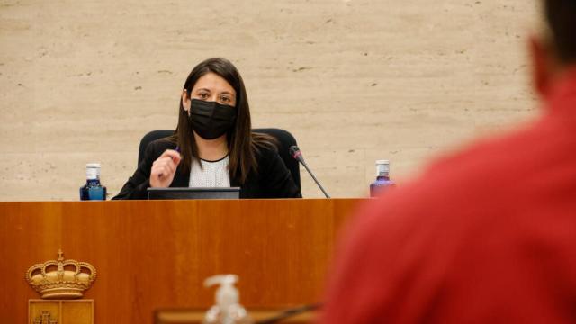 Bárbara García, consejera de Bienestar Social de Castilla-La Mancha (Foto: Cortes CLM)