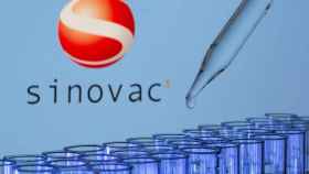 Test tubes are seen in front of a displayed Sinovac logo in this illustration taken