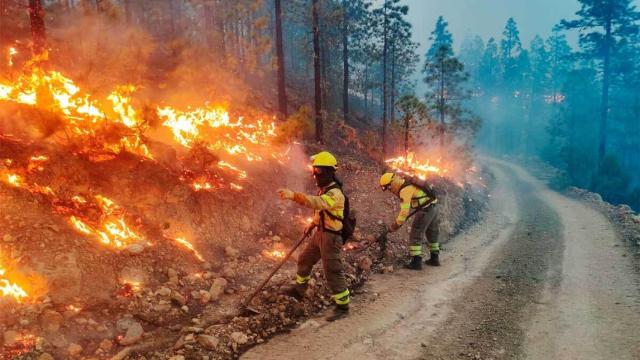 incendio-arico-brifor