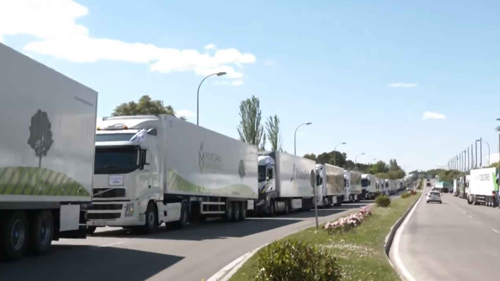 Decenas de camiones en la manifestación en defensa del trasvase Tajo-Segura.