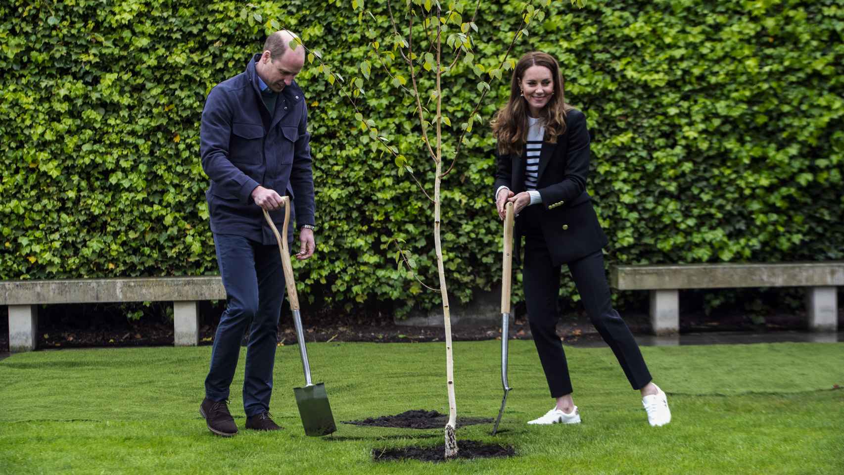 Guillermo y Kate también plantaron un árbol en la universidad de St. Andrews.
