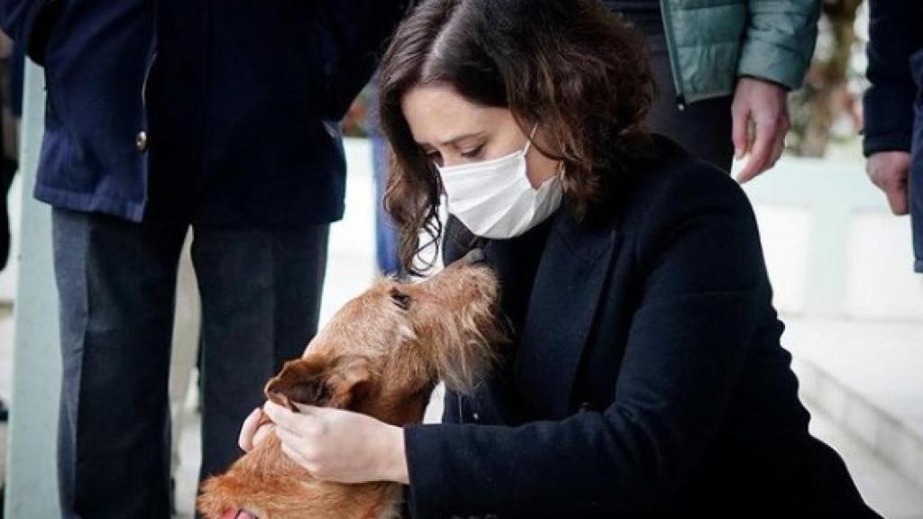 Ayuso con Nachete, el perro al que pidió que adoptaran.