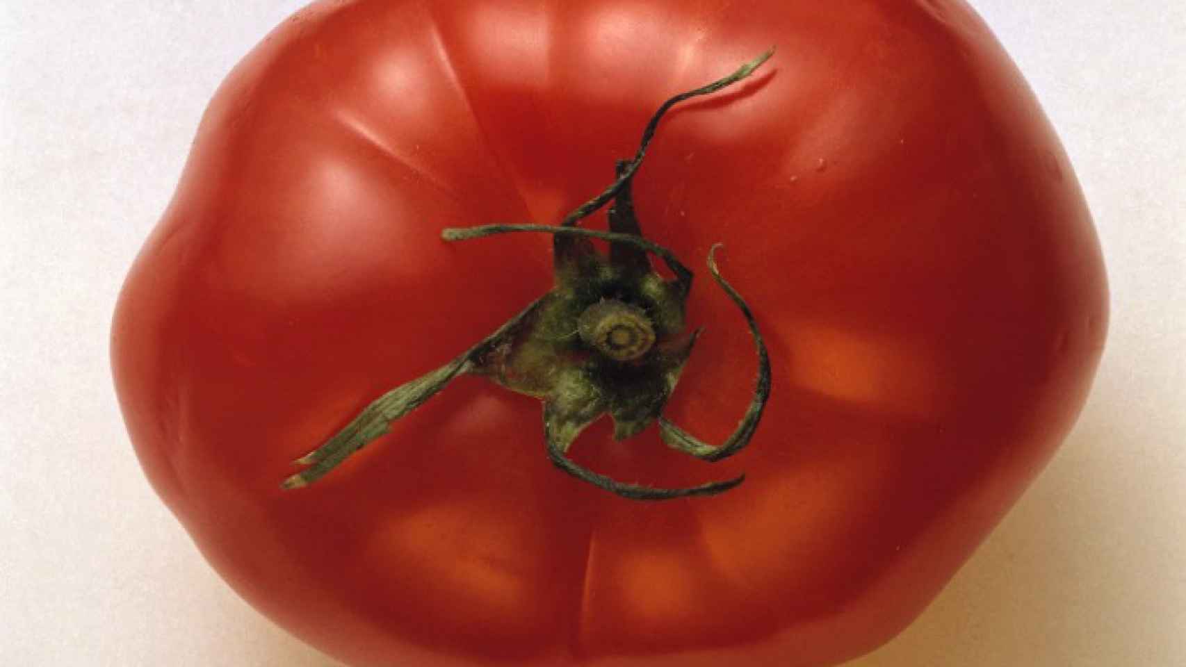 Un único tomate rosa puede pesar un kilo.