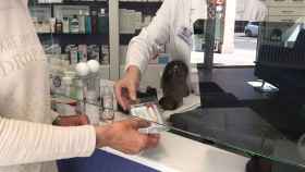 Las farmacias de Pontevedra detectaron 175 positivos con test de saliva desde febrero