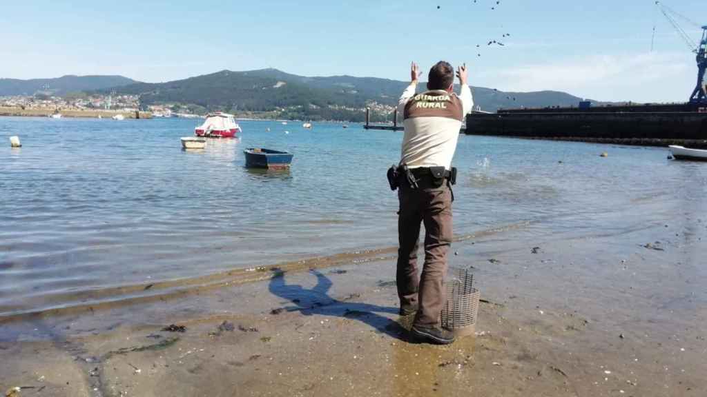 Interceptan a un furtivo en Vigo que se hizo con más de 7 kilos de almejas