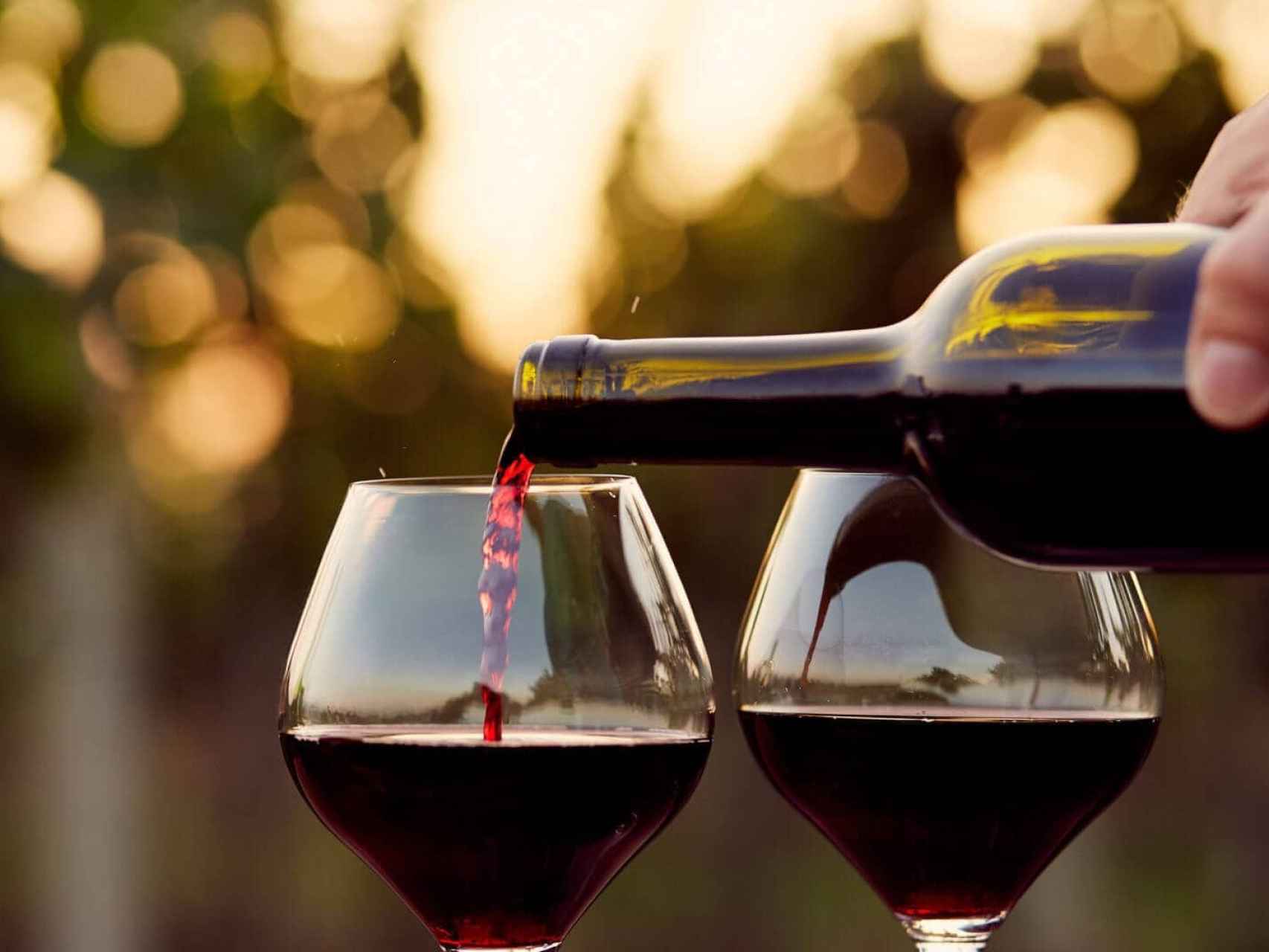 Las claves para hablar de vino sin cometer errores.