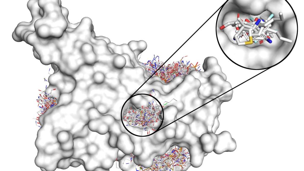 Diseño de novo de moléculas resultantes de procesar la superfície de una proteína con ProSurfScan