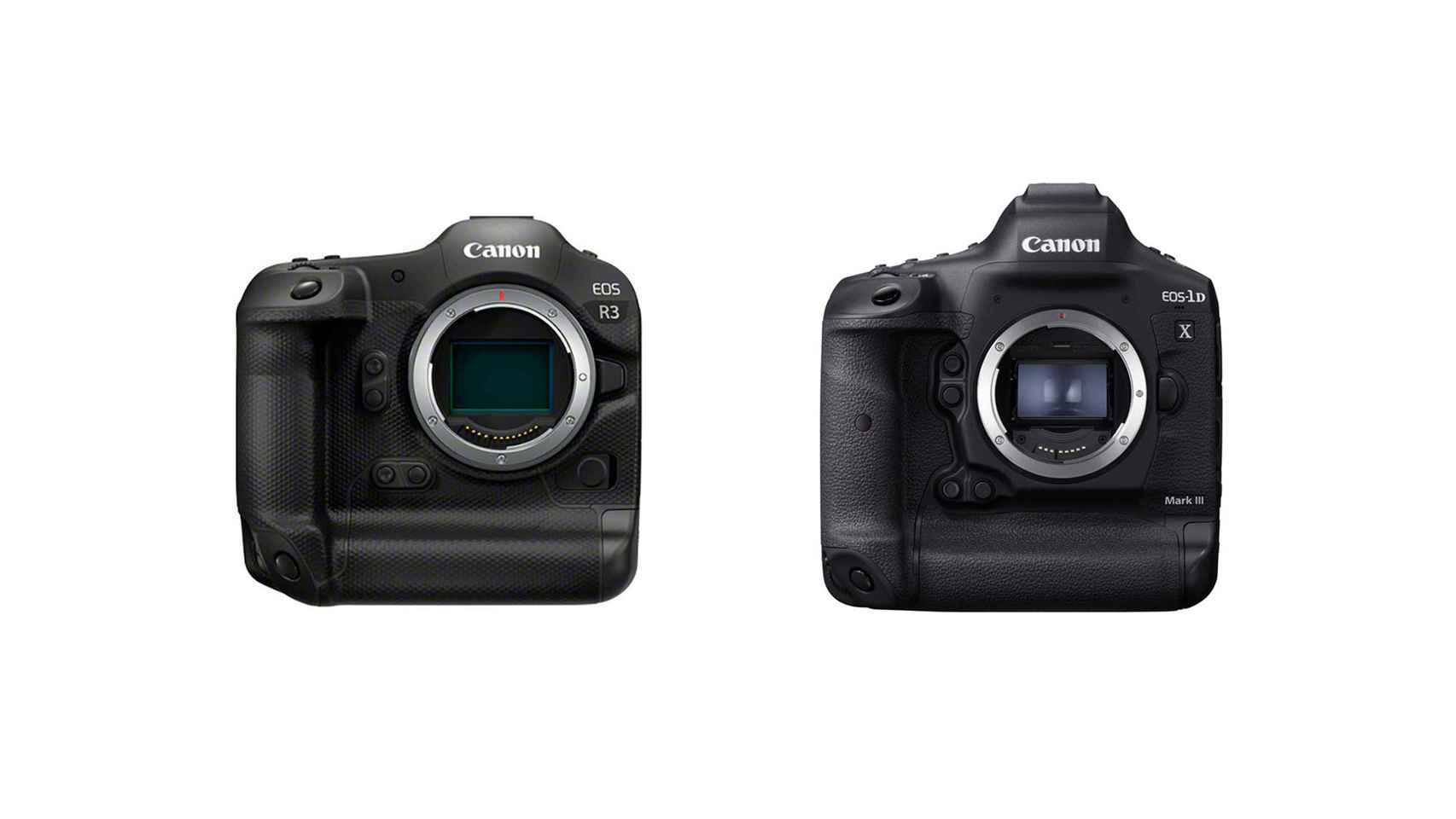 Comparación entre la EOS R3 (izquierda) y la 1DX Mark III (derecha)