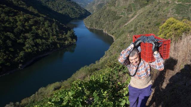 Aplazada la candidatura de la Ribeira Sacra a Patrimonio de la Humanidad