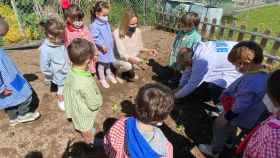 Los escolares de 20 centros del área de Vigo aprenden a plantar verduras y hortalizas