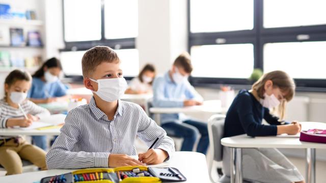 mascarilla colegio escuela alumno