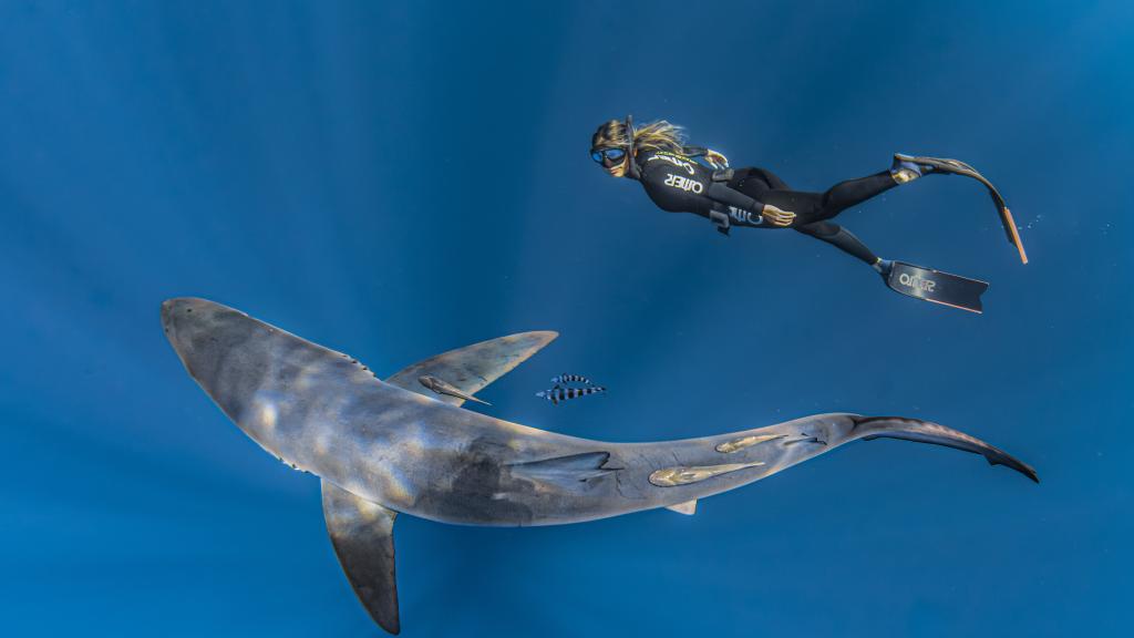 Gádor es divulgadora y vive en La Paz (México), uno de los mejores lugares para estudiar a los tiburones.