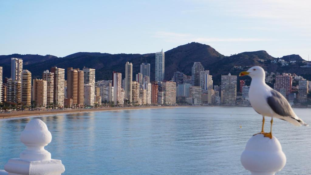 Skyline de la playa de Levante de Benidorm.