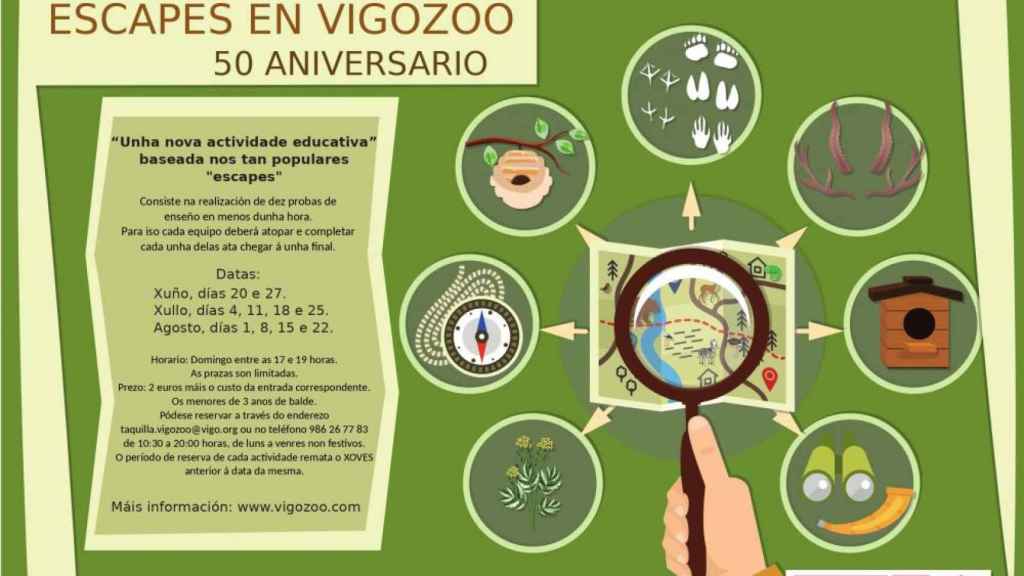 Cartel de las actividades de verano en VigoZoo