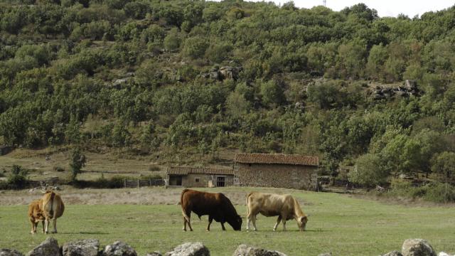 Castilla y León