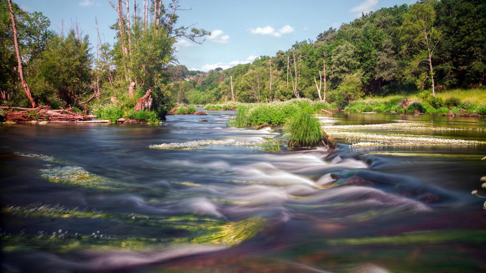 Bosque da Fervenza  (Foto: turismo.gal)