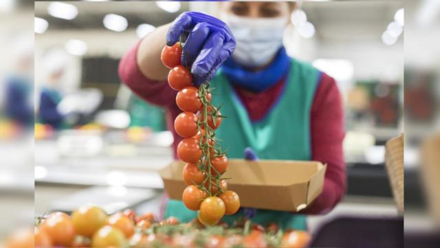 Sellos de calidad que debes buscar al comprar frutas y verduras