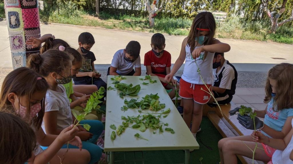 Los alumnos, durante una de las muchas actividades diarias del colegio.