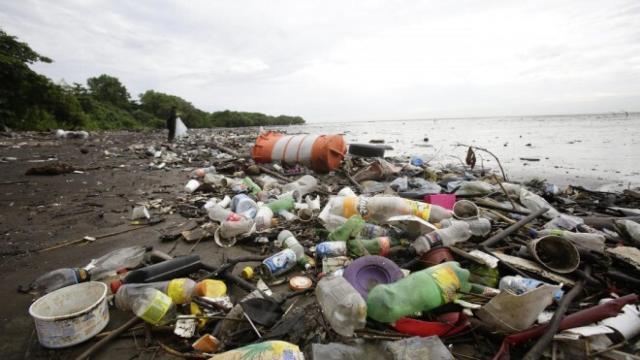 Basura acumulada en la orilla de una playa.