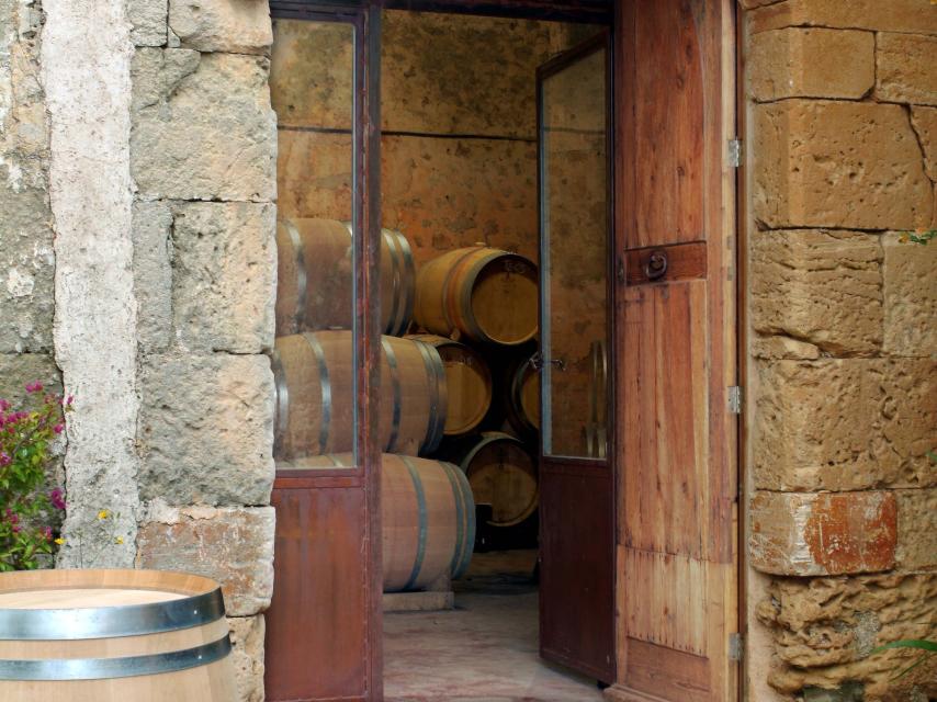 Bodega Terra de Falanis.