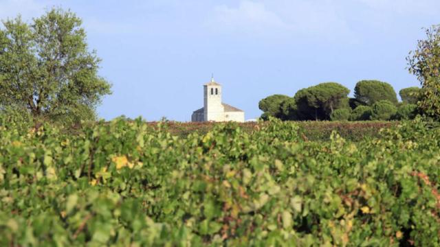 Bodegas Campos Reales se ubica en El Provencio (Cuenca)