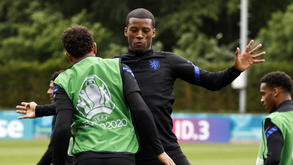 Georginio Wijnaldum, con la selección de los Países Bajos