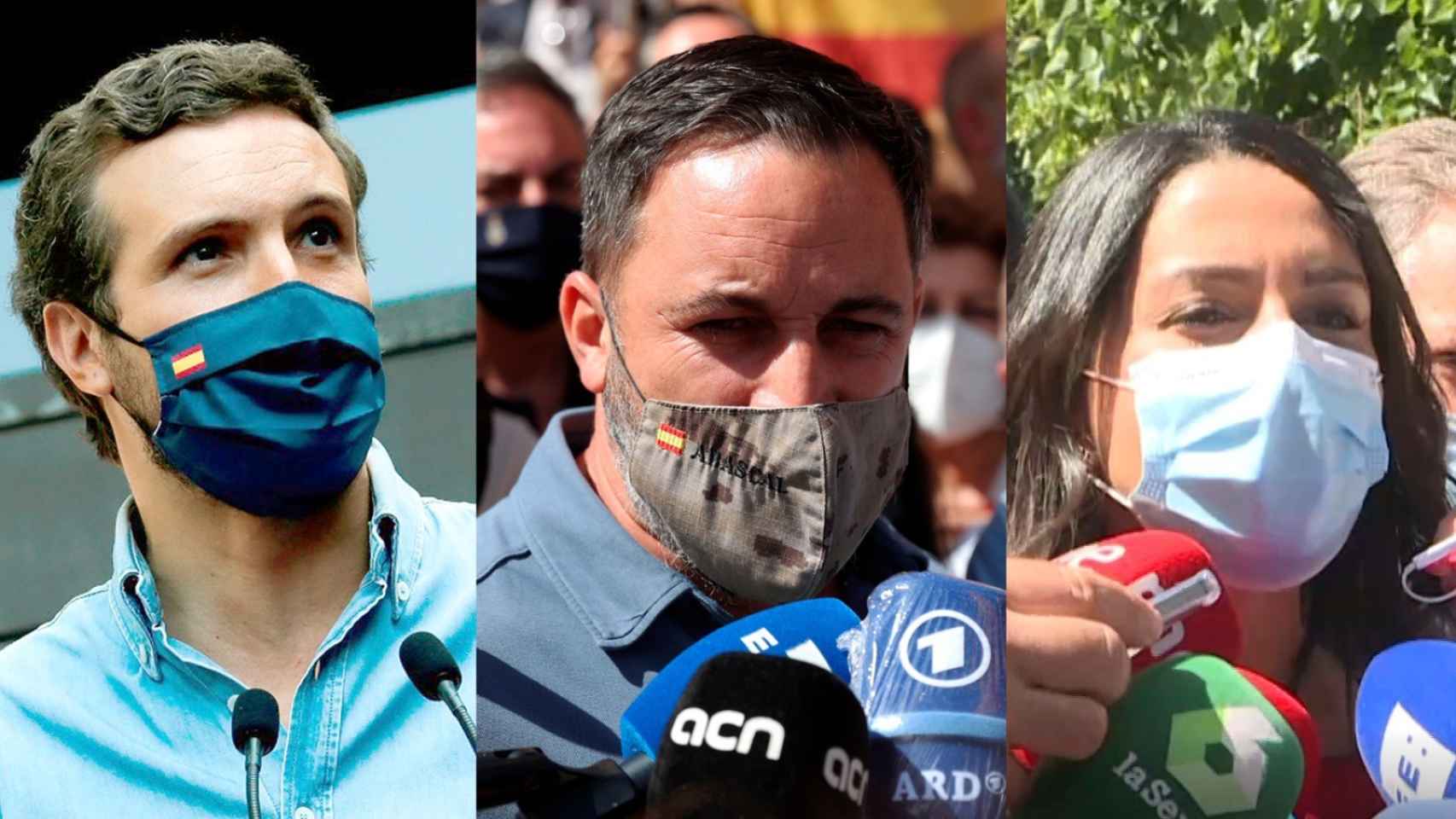 Pablo Casado, Santiago Abascal e Inés Arrimadas han acudido a la manifestación de Colón.