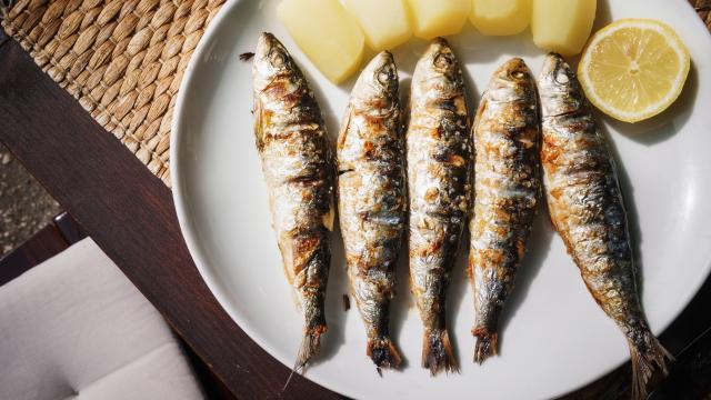 Un plato de sardinas.