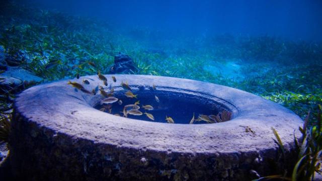 basura marina rueda océano