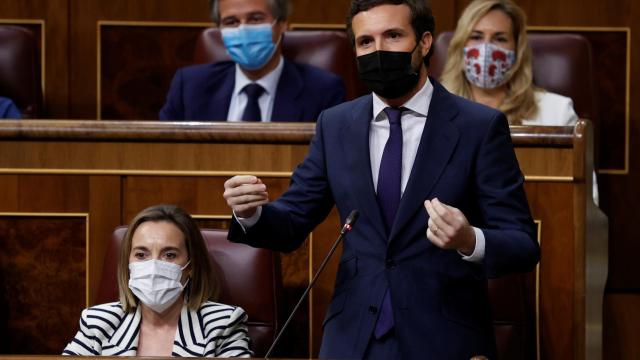 Pablo Casado, presidente del PP, en el Congreso de los Diputados.