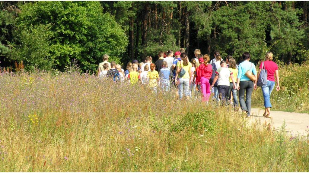 Niños, excursión, campo.