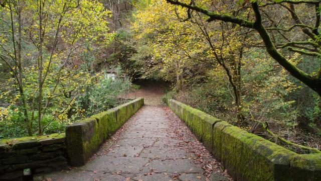 Fragas do Eume  (Foto: turismo.gal)