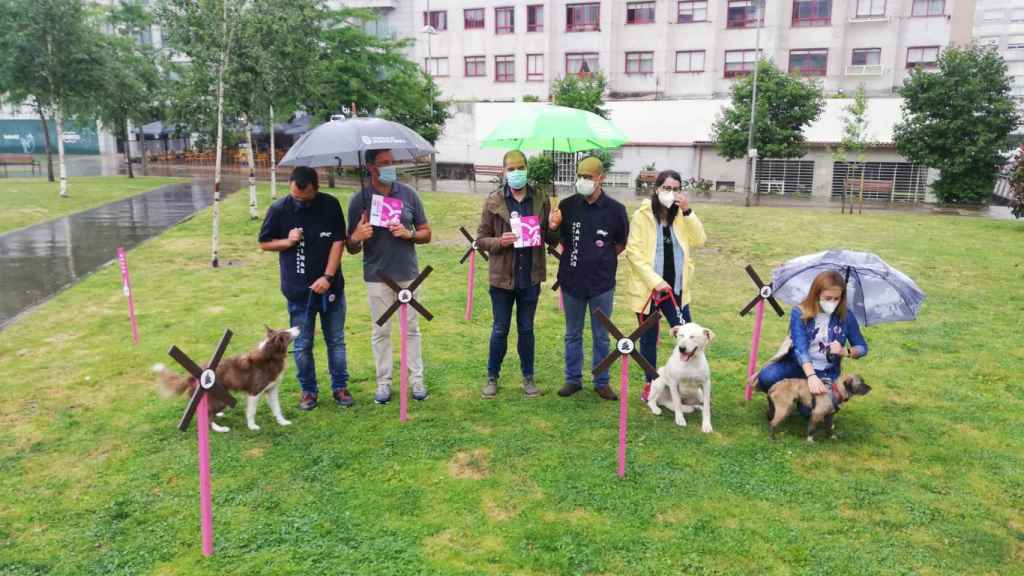 Pontevedra crea una campaña para acabar con las heces de perro en los parques y calles