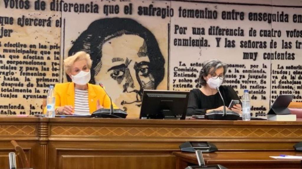 Carmen Quintanilla, presidenta de Afammer en el Senado hablando de violencia de género en el medio rural.