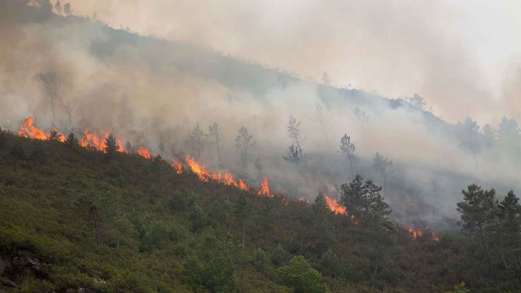 Incendio en O Courel (Lugo).