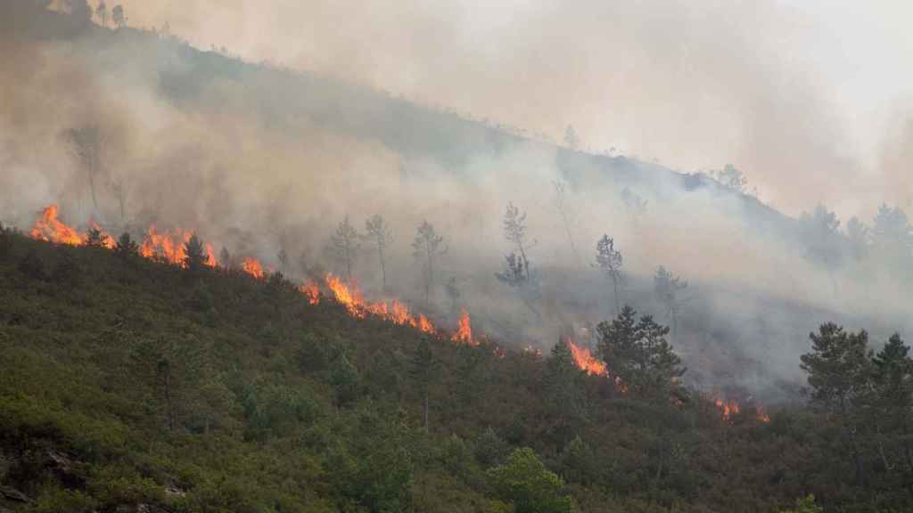 Incendio en O Courel (Lugo).