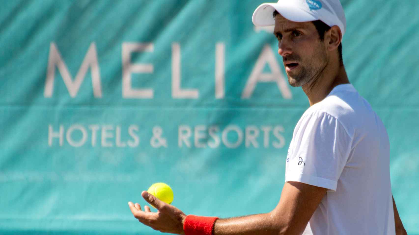Novak Djokovic, en el Mallorca ATP