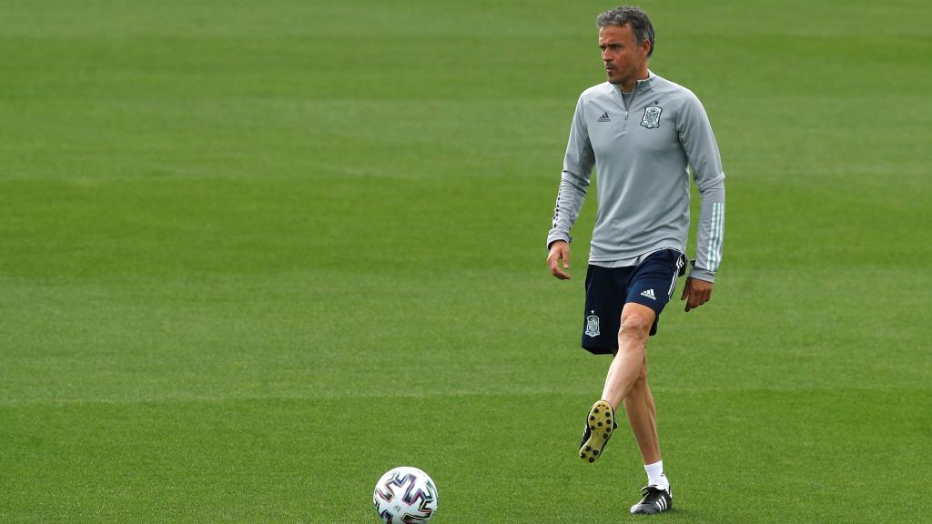 Luis Enrique, dirigiendo la Selección