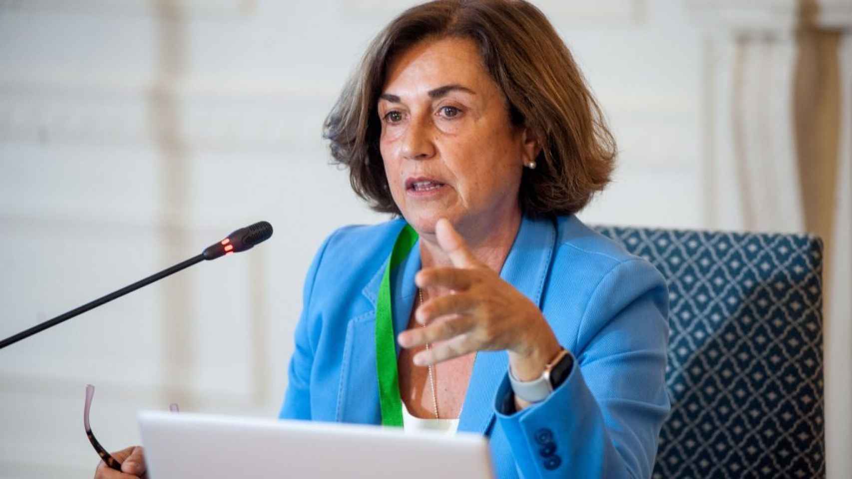 Ángeles Santamaría, consejera delegada de Iberdrola España.