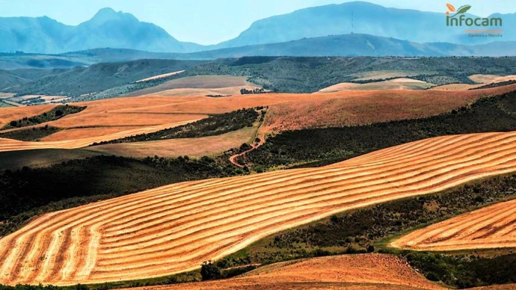 Trabajos agrícolas