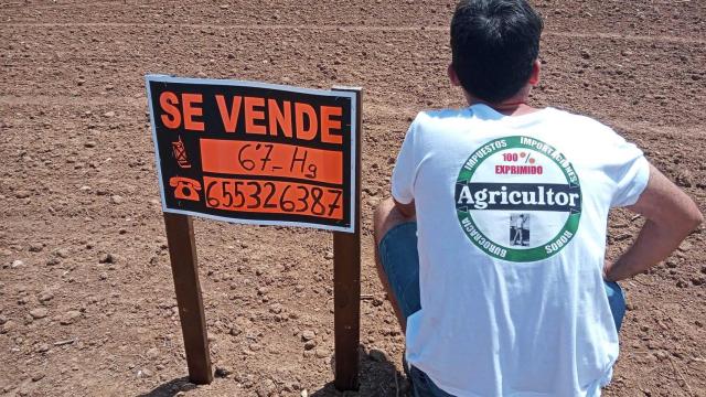 El agricultor Ismael Navarro en la parcela que ha puesto a la venta.